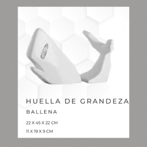 BALLENA, ALVARO CUEVAS