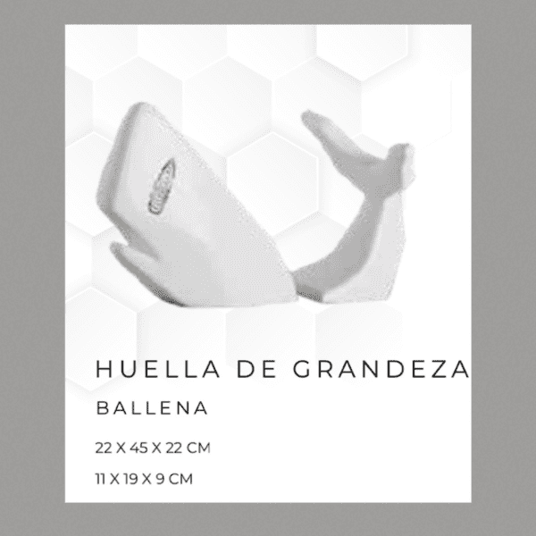 BALLENA, ALVARO CUEVAS