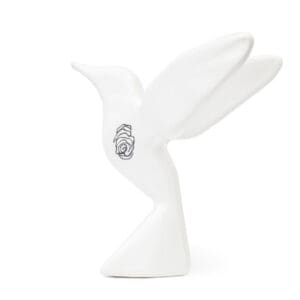 COLIBRI, ALVARO CUEVAS
