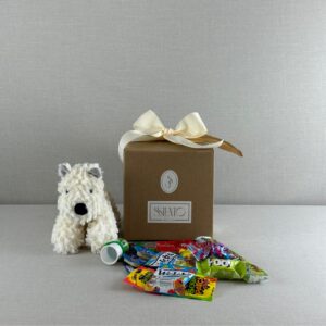 CAJA DE DULCES CON PELUCHE