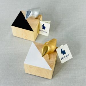 CUBO CON AVE DE DAVIT NAVA